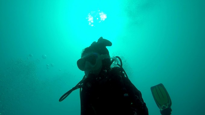 菲律宾潜水游记 (回忆菲律宾潜水的时光)