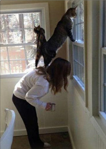 速度不知道快不快！你这网吧高是高，老板