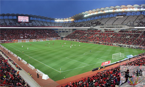 日本有哪些顶级专业足球场,日本有几个顶级足球场