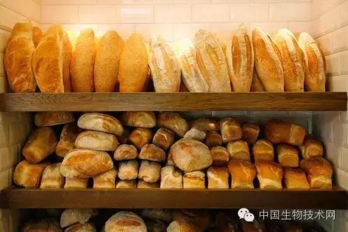 干面包怎么变松,干面包弄碎怎么处理