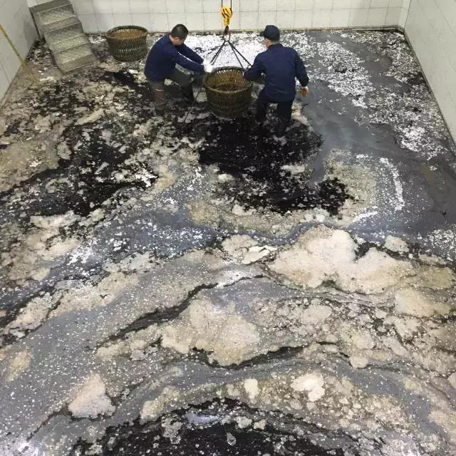 摄制组动态|卢火神附子炮制老官山墓