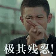 张一山被下架的电视剧,张一山的被停播的电视剧