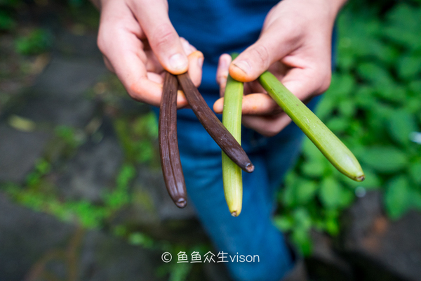 揭秘金银岛宝藏之谜,金银岛神秘之谜