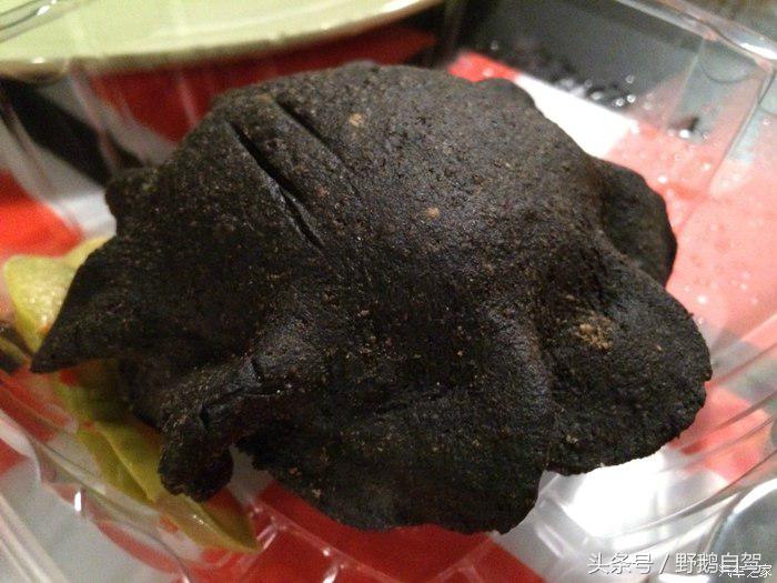 野鹅旅行,野鹅自驾无人区