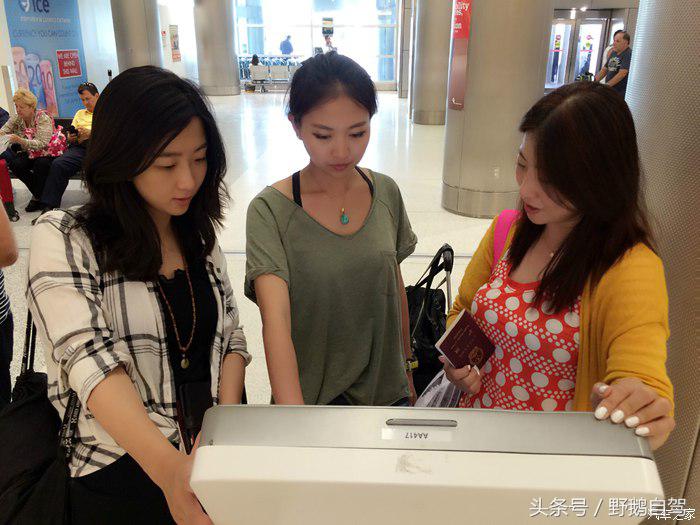 野鹅旅行,野鹅自驾无人区