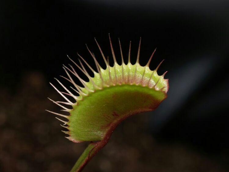 向阳的玻璃花房,玻璃花房设计建造