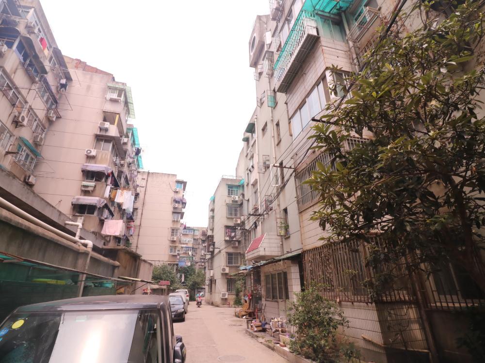 小区环境很好但是价格贵,新楼盘小区环境