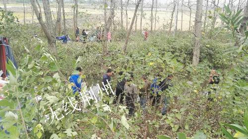 河豚中毒事件最新,河豚中毒事件最新消息