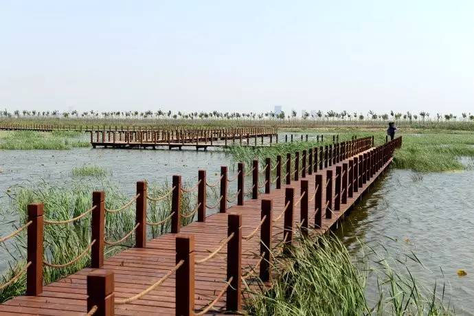 天津一共有多少个公园,天津有哪八个公园