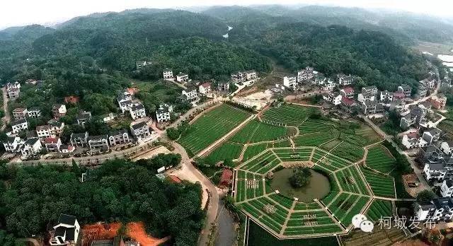 荆溪围棋谷,荆溪花海美景