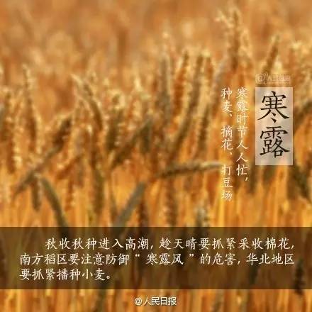 寒露可以露脚吗,寒露不宜露脚的危害