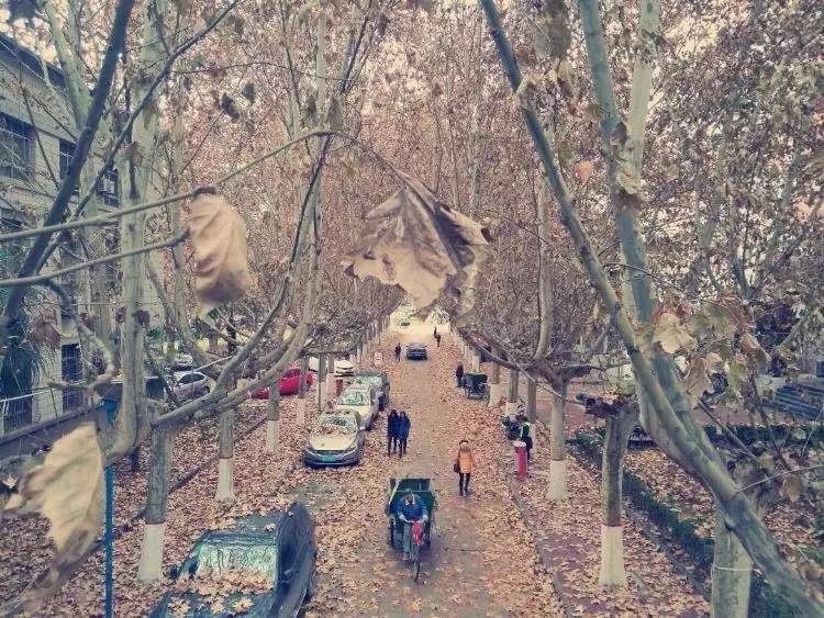 西法大,西法大以后还能评上双一流吗