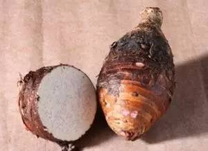 秋天要注意哪些健康问题,秋天要注意什么饮食