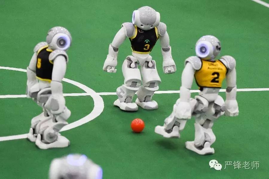 冷心足球,冷热足球王老师