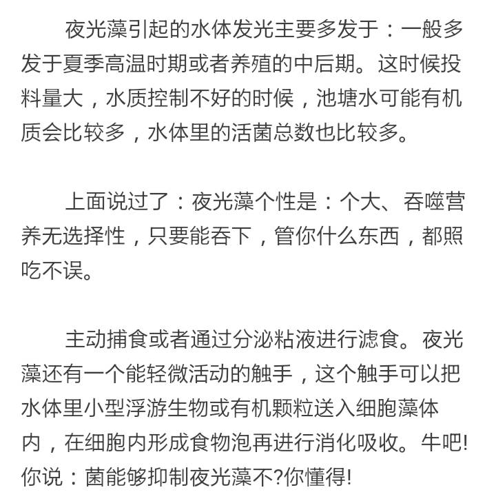 秋天养虾盐提高，水体发光时应注意了