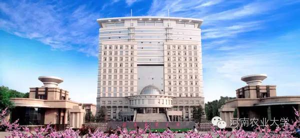 特别策划三分钟过后，农大小石榴马上开挂成老鸟！