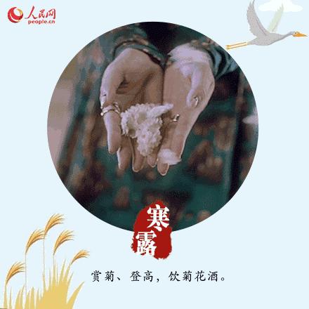 寒露可以露脚吗,寒露不宜露脚的危害