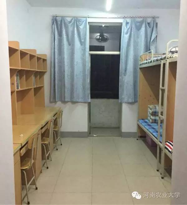 特别策划三分钟过后，农大小石榴马上开挂成老鸟！