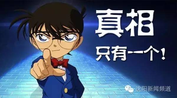 沈十一免费阅读全文,沈十一