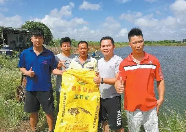 罗非鱼可以跟白对虾混养吗,罗非鱼同白对虾混养好养吗