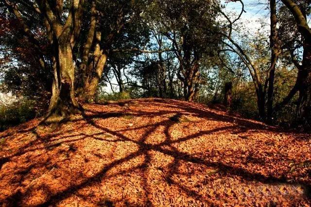 中国秋色最美的五个地方,邂逅国内各地绝美秋色