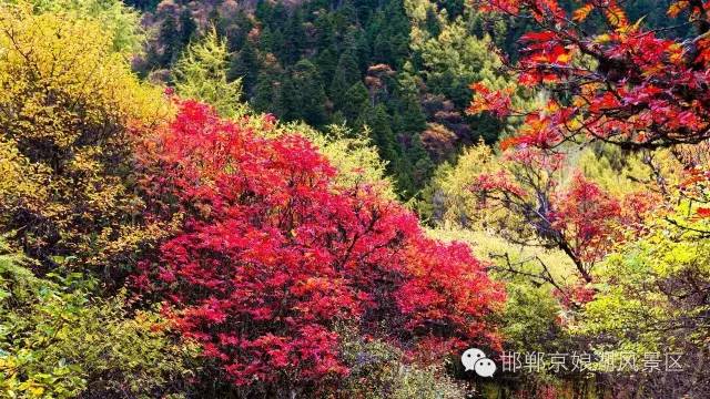 京娘湖风景区红叶丰收季联票,邯郸京娘湖红叶节
