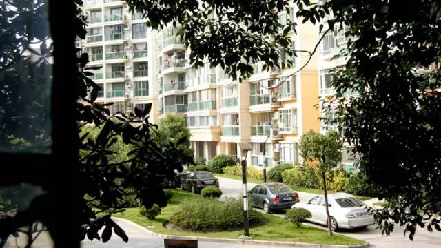 厉害了WORD哥,厉害了word哥视频