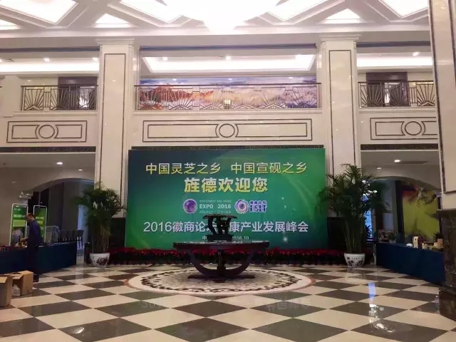 国家大健康产业峰会,2019全国健康产业新领袖峰会