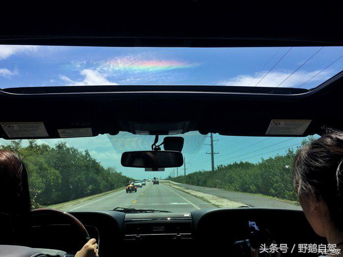 野鹅旅行,野鹅自驾无人区