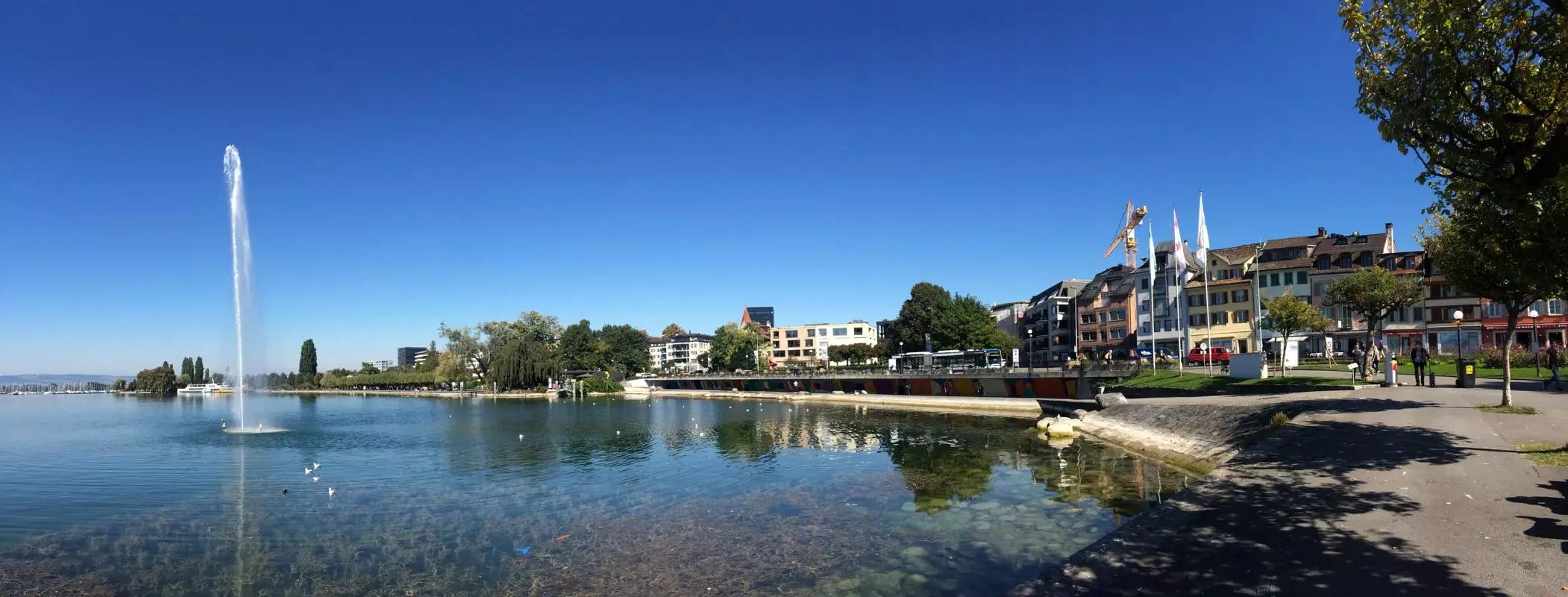 蓝瘦香菇在这里视频,蓝瘦香菇在法国