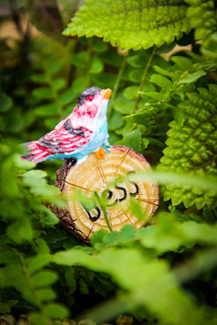 向阳的玻璃花房,玻璃花房设计建造