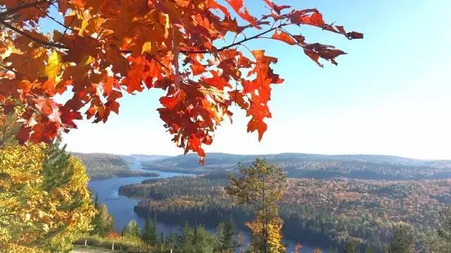 你们都错了，其实加拿大的秋季才是最厉害的时装大师