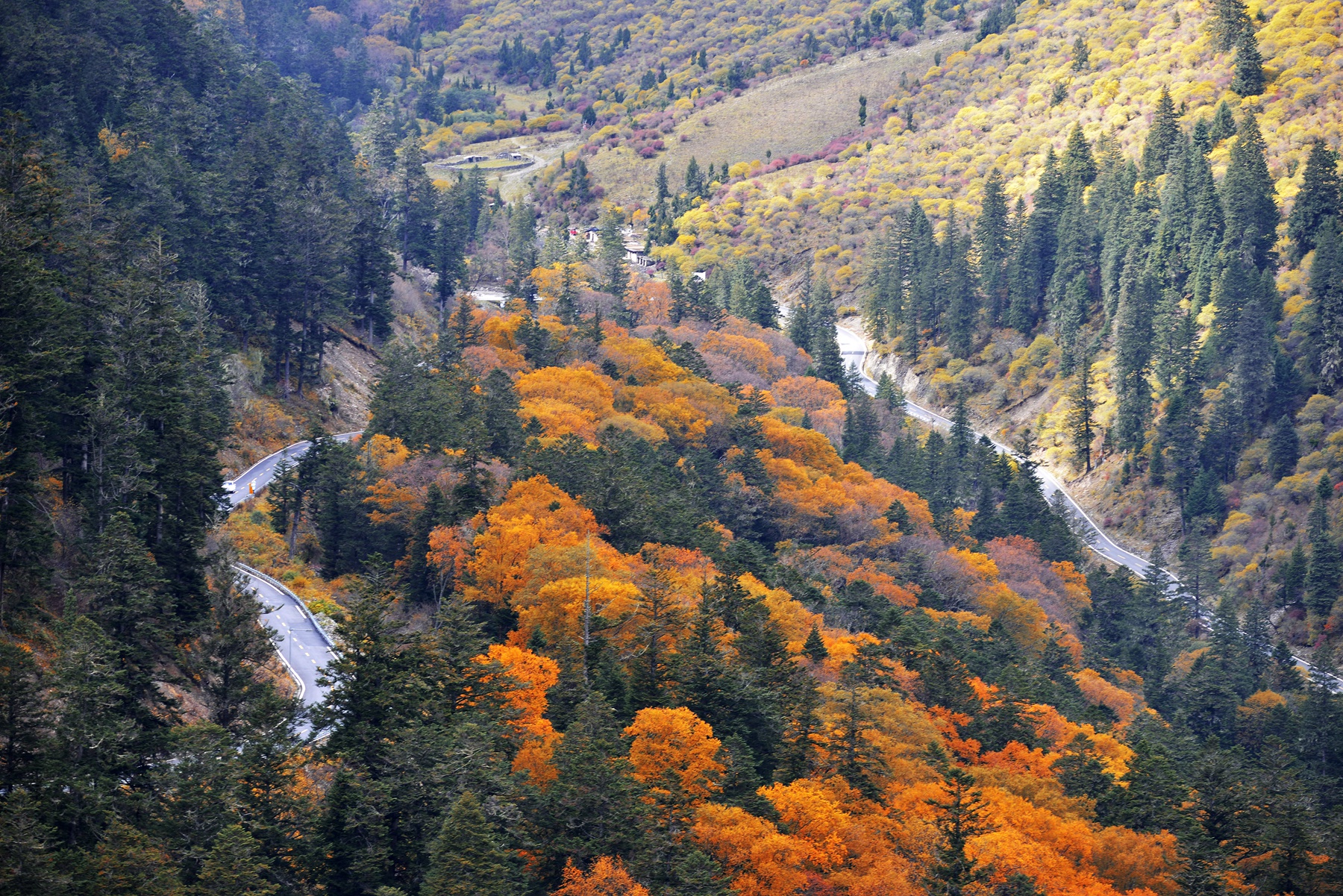 四川雅安宝兴夹金山天气预报,赞美宝兴夹金山红叶