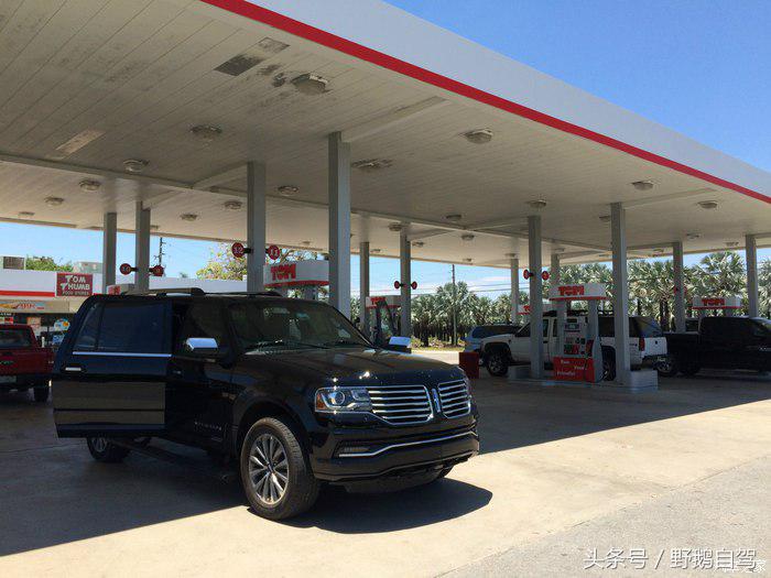 野鹅旅行,野鹅自驾无人区