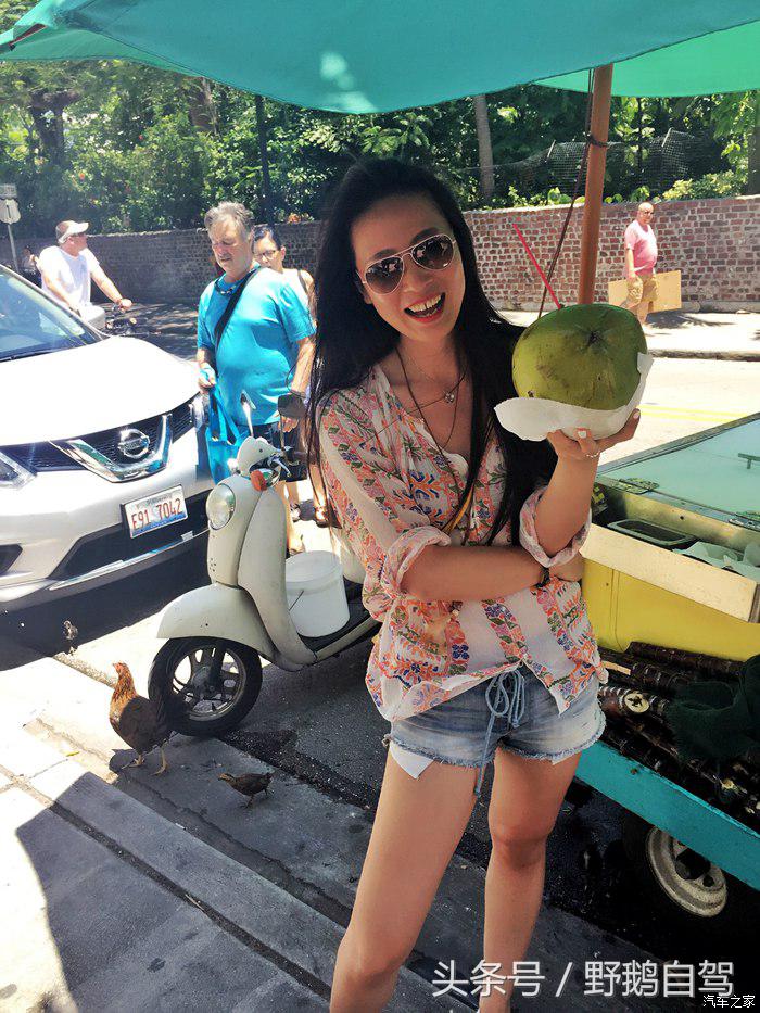 野鹅旅行,野鹅自驾无人区