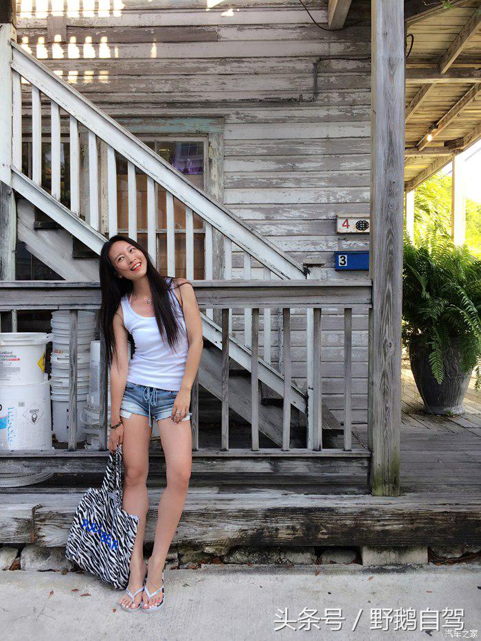 野鹅旅行,野鹅自驾无人区