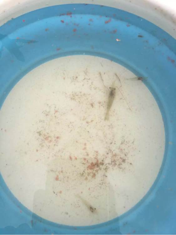 为什么野钓更舒服,为什么野钓要钓底