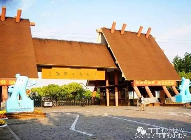 周记秋游上海野生动物园,上海野生动物园春秋游