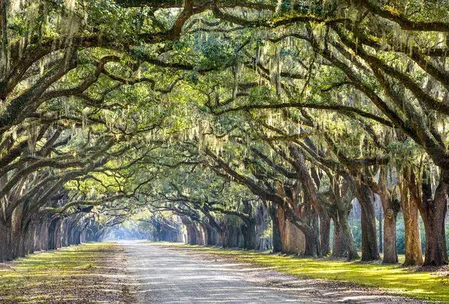 美国50大州排名,美国五十州排名