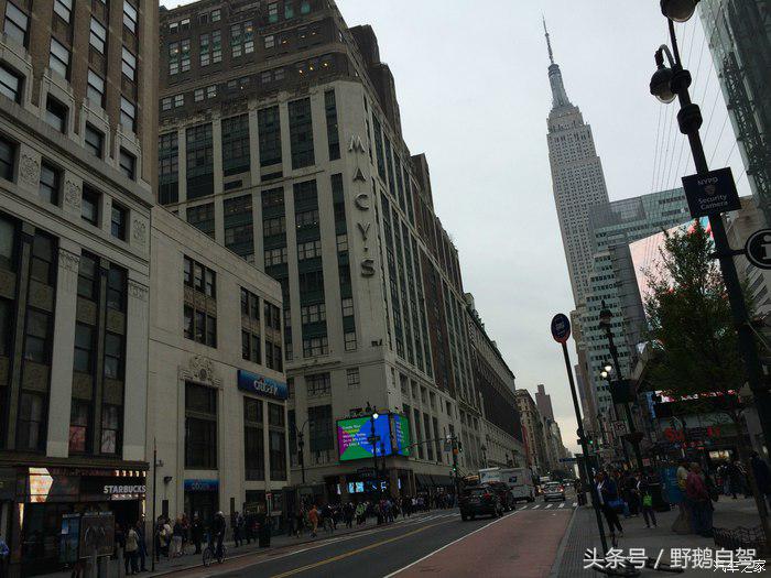 野鹅旅行,野鹅自驾无人区