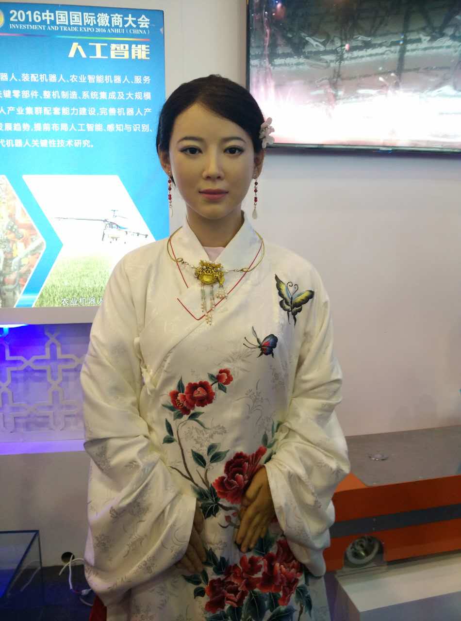 合肥徽商大会在哪里举行,中国国际徽商大会图片