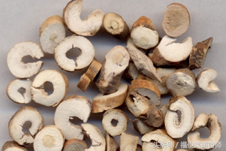 国色天香牡丹花好不好养,国色天香和牡丹花