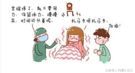 第二产程实训操作步骤,第二产程和第三产程操作