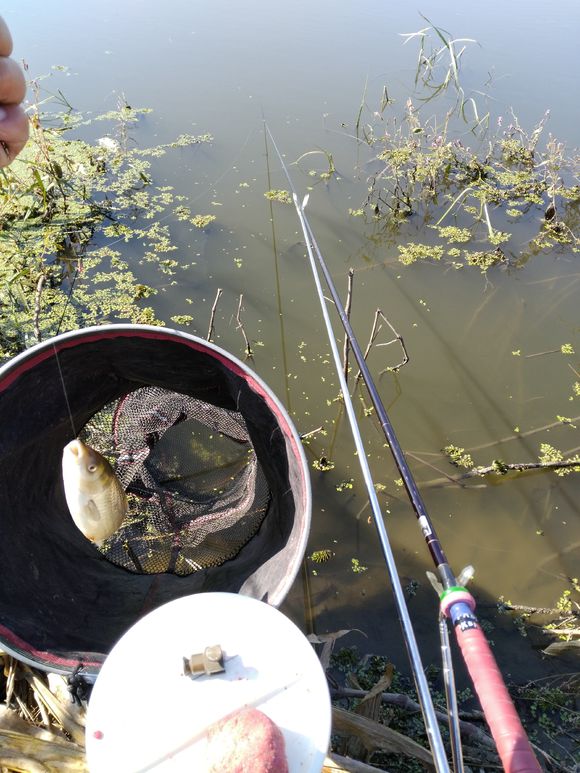 为了钓鱼跑了二十多公里算远吗,为钓鱼做过的事