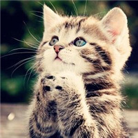 小米信号放大器连接不上黄灯闪烁,小米信号放大器pro一直闪黄灯