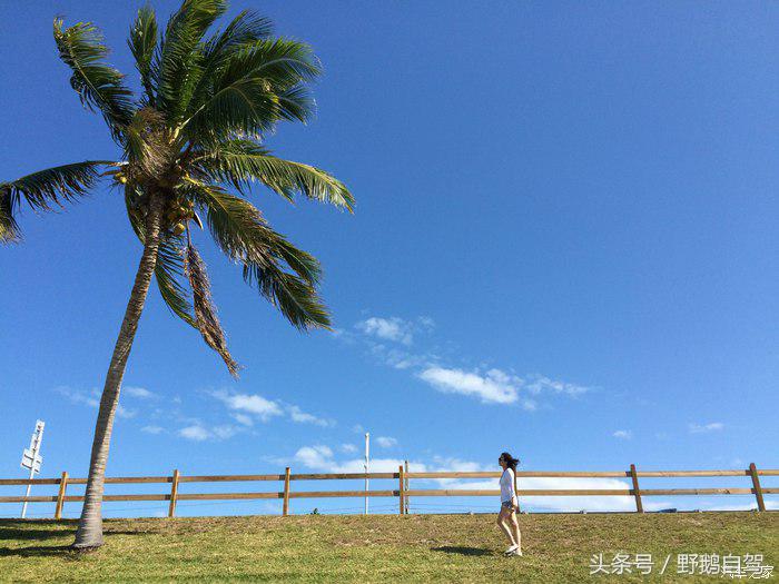 野鹅旅行,野鹅自驾无人区
