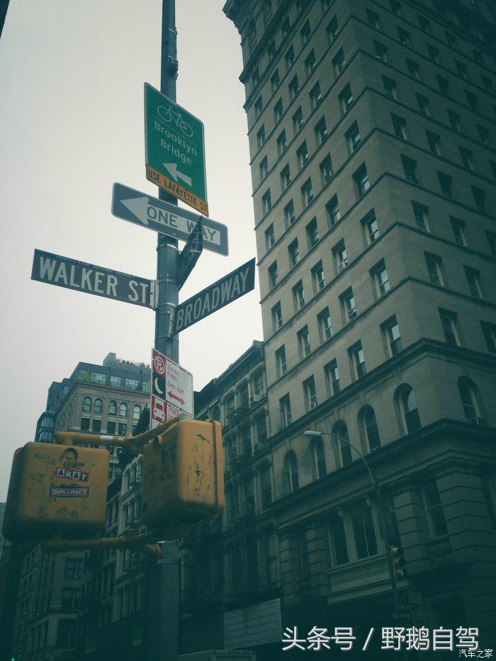 野鹅旅行,野鹅自驾无人区