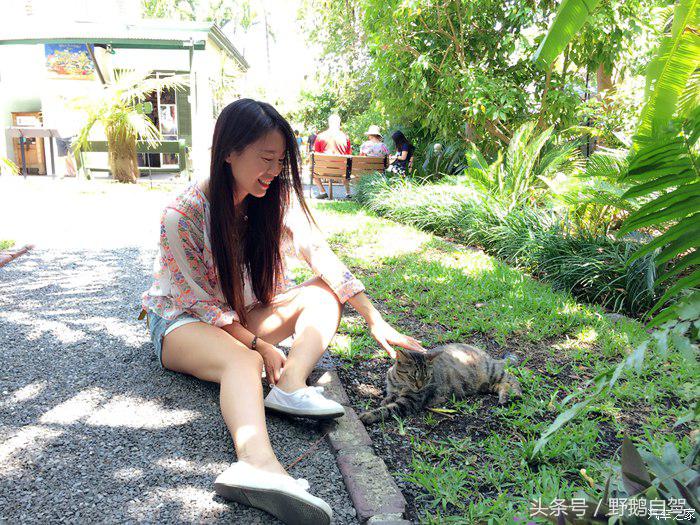 野鹅旅行,野鹅自驾无人区