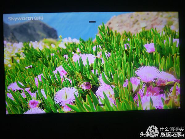 熊猫液晶43寸f6液晶电视测评,熊猫le55f88s-ud说明书