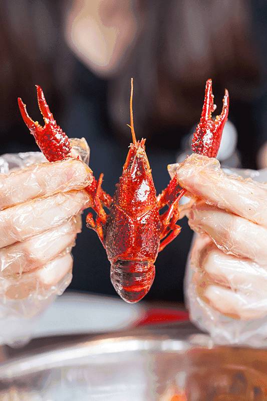 老板壕打5.8折，​全年无休摄魂小龙虾，逼爆头我都要吃到Ta